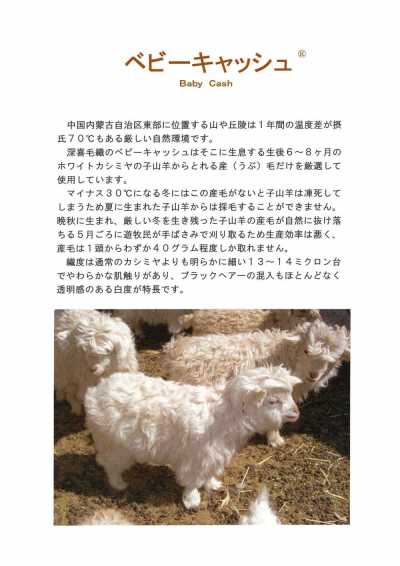5746 深喜毛織 日本製 ベビーキャッシュ カシミヤ 生地 FUKAKI サブ画像