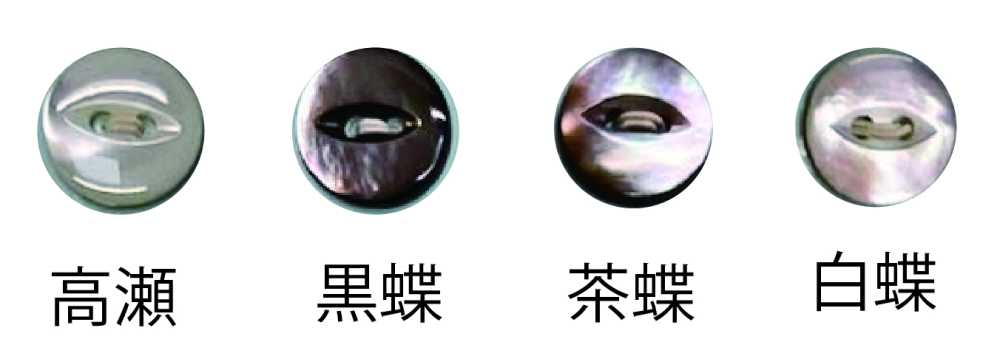 152 2つ穴 貝ボタン ネコメ トモイ