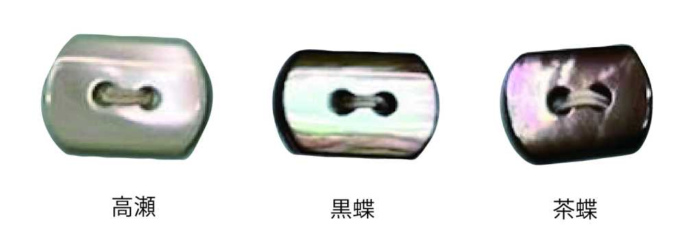 3010 2つ穴 楕円形 貝ボタン トモイ