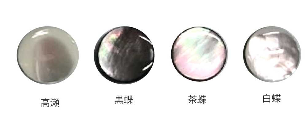 601P ポリ脚 貝ボタン トモイ