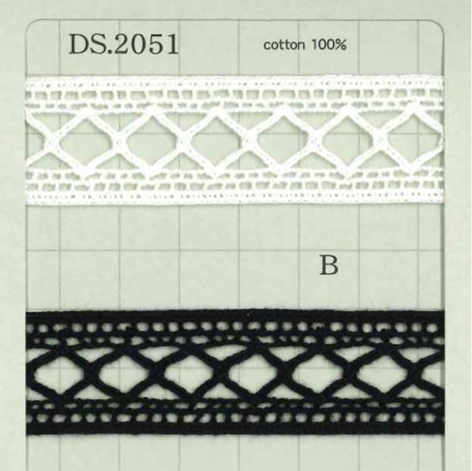 DS2051 ハシゴレース 幅: 21mm 大定