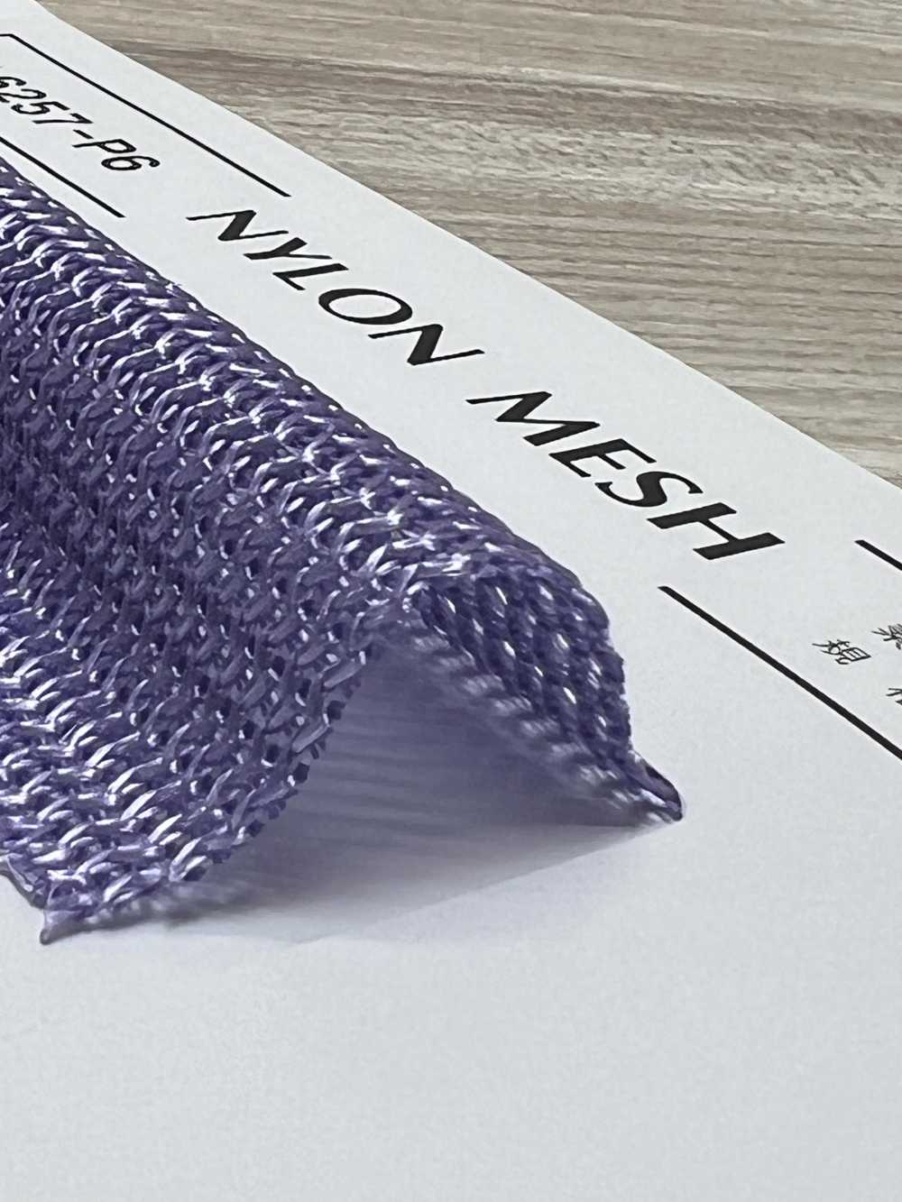 6257-P6 NYLON MESH[生地] 富士ニッティング