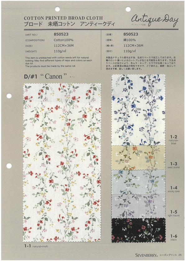 850523 SEVENBERRY® ブロード 未晒コットン アンティークディ カノン[生地] VANCET