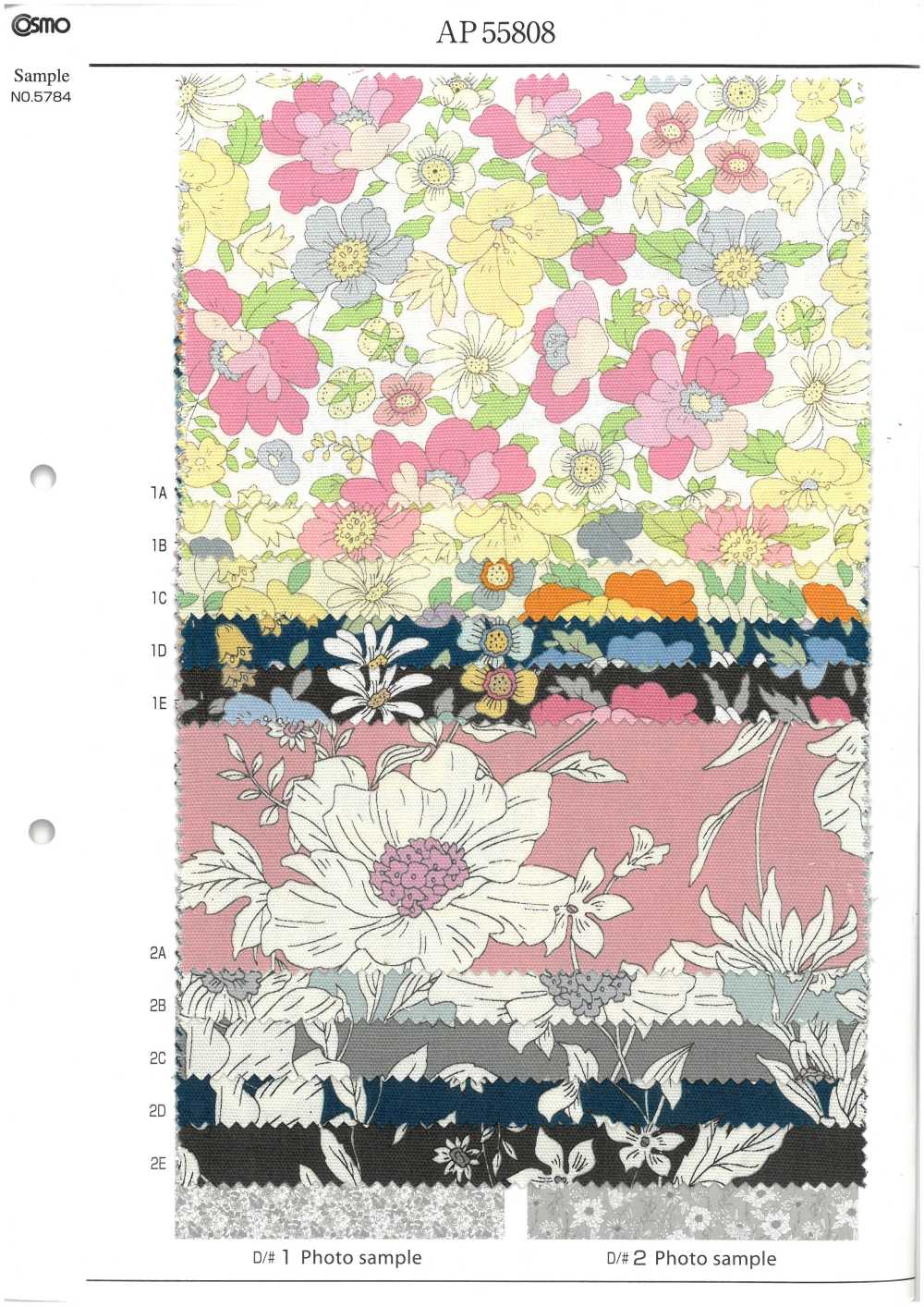 AP55808-DR エッセンシャルグレース2  オックス(半折)[生地] コスモテキスタイル