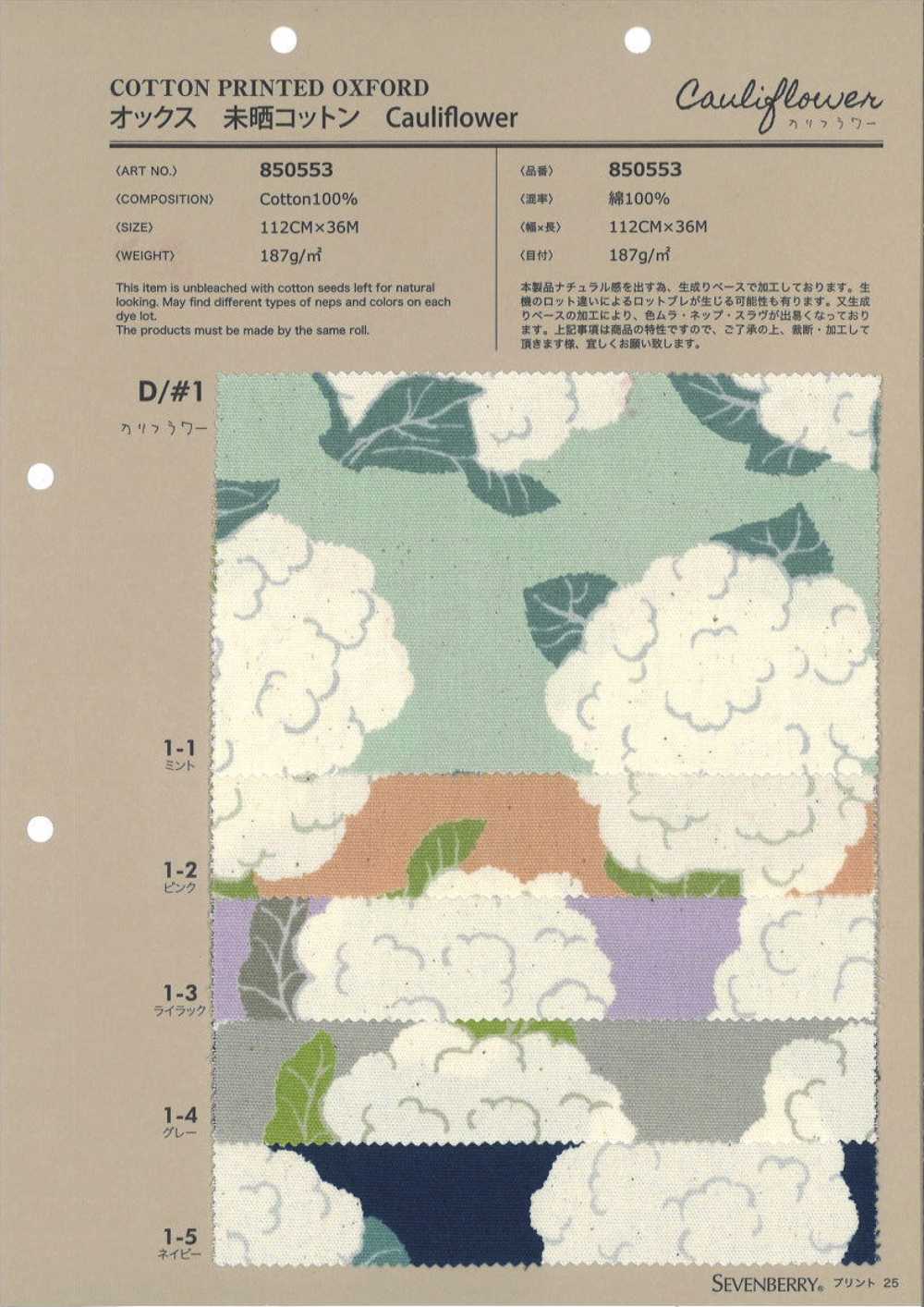 850553 オックス 未晒 コットン Cauliflower[生地] VANCET