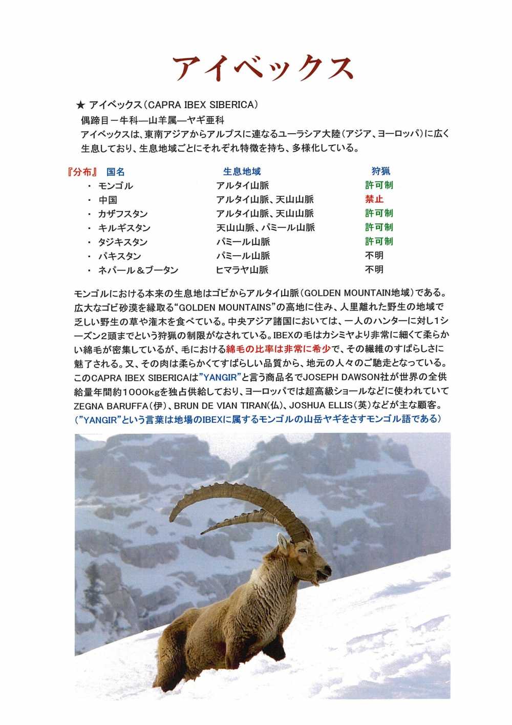 5654 深喜毛織 日本製 超高級コート素材 アイベックス 生地 Fukaki ヤマモト Apparelx アパレル資材卸通販 仕入 5654 深喜毛織 日本製 超高級コート素材 アイベックス 生地 Fukaki ヤマモト Apparelx アパレル資材卸通販 仕入