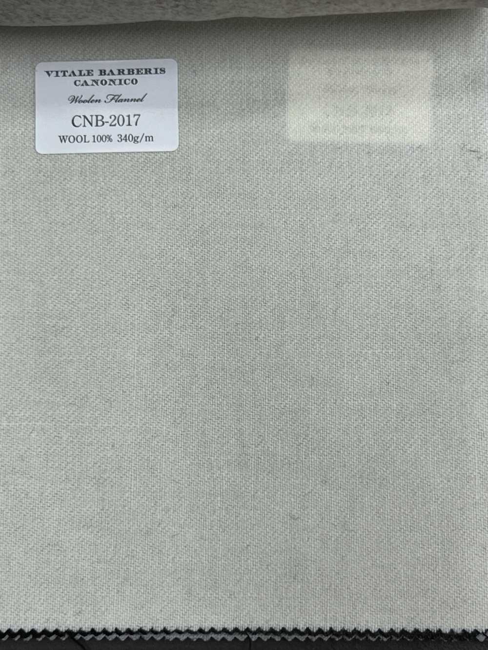 CNB2017 CANONICO(カノニコ) 定番 WOOLEN FLANNEL ライトベージュ 無地[生地] CANONICO(カノニコ)