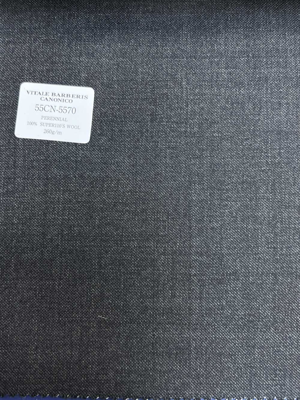 55CN5570 CANONICO(カノニコ) PERENNIAL SUPER110'S チャコールグレー 無地[生地] CANONICO(カノニコ)