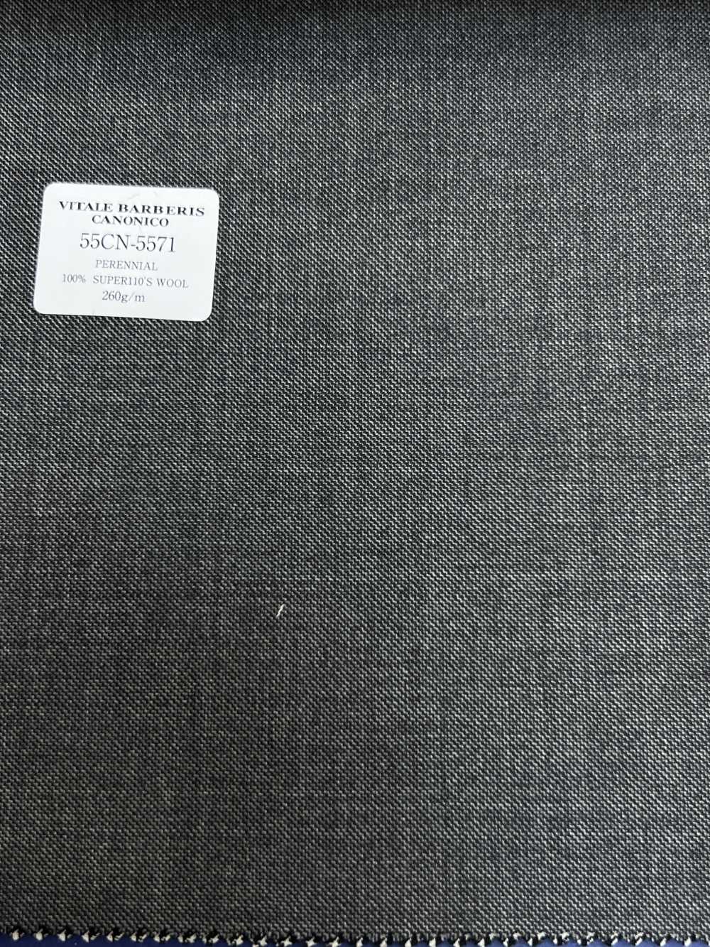 55CN5571 CANONICO(カノニコ) PERENNIAL SUPER110'S グレー 無地[生地] CANONICO(カノニコ)