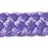 クロッカス クロッカス