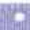 LAVENDER LAVENDER