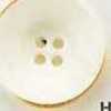H01