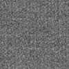 鼠