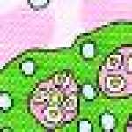 ピンク ピンク
