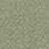 SAGE GREEN SAGE GREEN