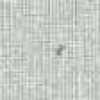 LIGHTGRAY