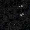 ブラック ブラック