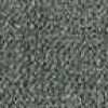GRAY GRAY