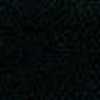 NAVY NAVY