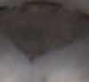 BN