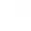 ホワイト ホワイト