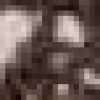 ブラウン