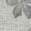 light gray light gray