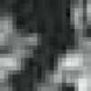 ホワイト+ブラック ホワイト+ブラック