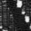 ブラック ブラック
