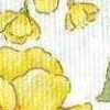 ホワイト×イエロー