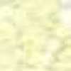 L.YELLOW L.YELLOW