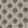 ビスケット