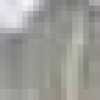 365
