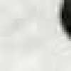 WHITE WHITE