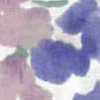 violet pink violet pink