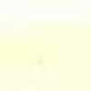 イエロー イエロー