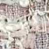 ピンク