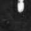 ブラック ブラック