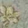 sage sage