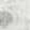 white white