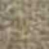 BEIGE BEIGE