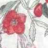 レッド花 レッド花