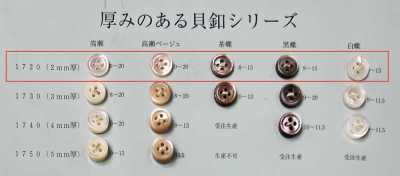 1720 表穴4つ穴 縁あり 貝ボタン 2mm厚