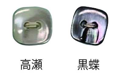 493 2つ穴 縁なし 貝ボタン