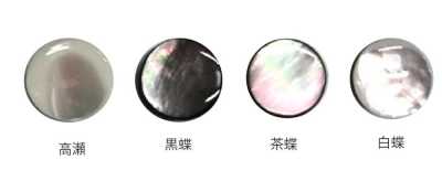 601K 金脚 貝ボタン