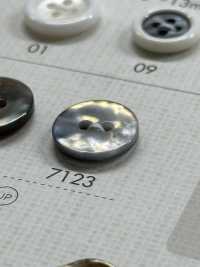 7123 ポリエステル樹脂製 2つ穴ボタン 大阪プラスチック工業(DAIYA BUTTON) サブ画像