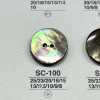 SC100 天然素材 貝製 2つ穴つや有りボタン