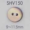 SHV150 2つ穴 貝ボタン
