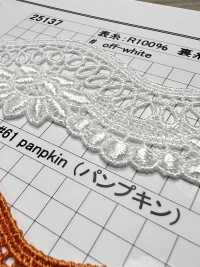 25137 細幅ケミカルレース 協和レース サブ画像