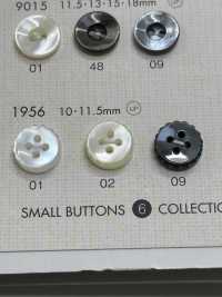 1956 DAIYA BUTTONS 貝調ポリエステルボタン 大阪プラスチック工業(DAIYA BUTTON) サブ画像